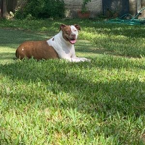 Meet your Posher, Nathan